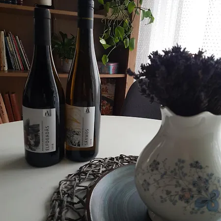 Panorama Vendeghaz شقة Dunabogdány