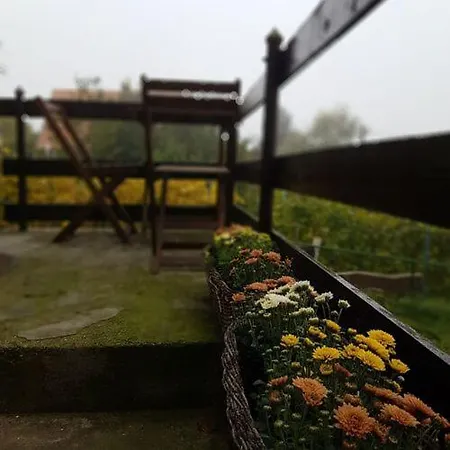 Panorama Vendeghaz شقة *