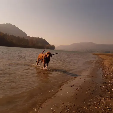 Panorama Vendeghaz * Dunabogdány