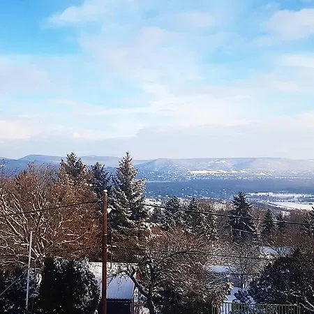 Panorama Vendeghaz * Dunabogdány