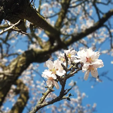 Panorama Vendeghaz شقة Dunabogdány