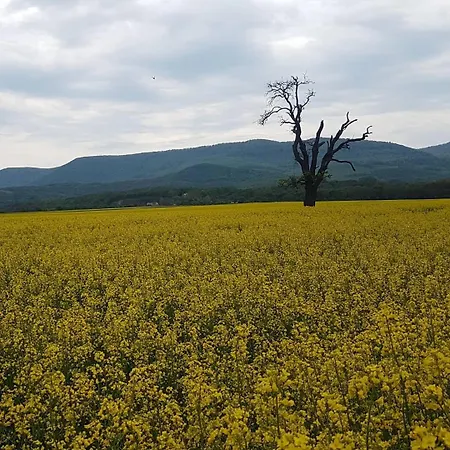 Panorama Vendeghaz *