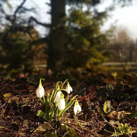 شقة Panorama Vendeghaz *