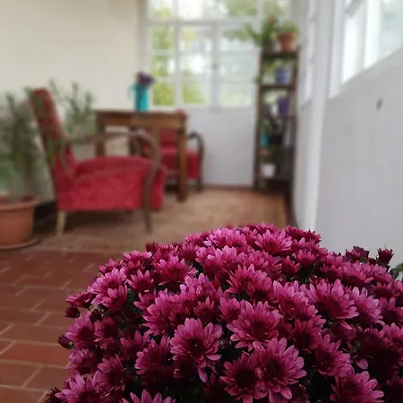 Panorama Vendeghaz شقة