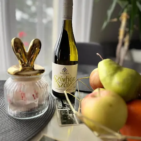 Panorama Vendeghaz Dunabogdány