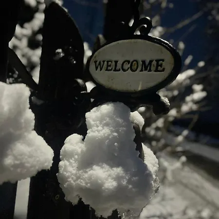 شقة Panorama Vendeghaz Dunabogdány