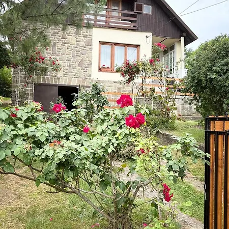 Panoráma Dunabogdány