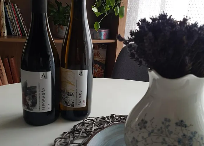 Panorama Vendeghaz Apartament Dunabogdány