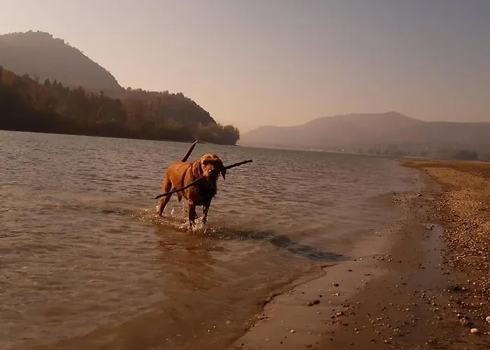 Panorama Vendeghaz * Dunabogdány