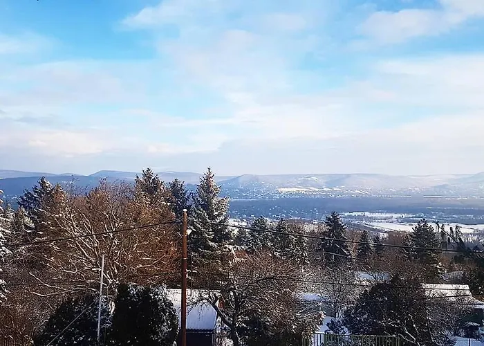 Panorama Vendeghaz * Dunabogdány