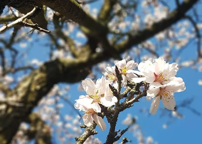 Panorama Vendeghaz Apartament Dunabogdány