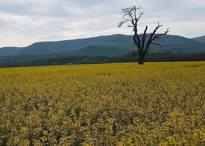 Panorama Vendeghaz *