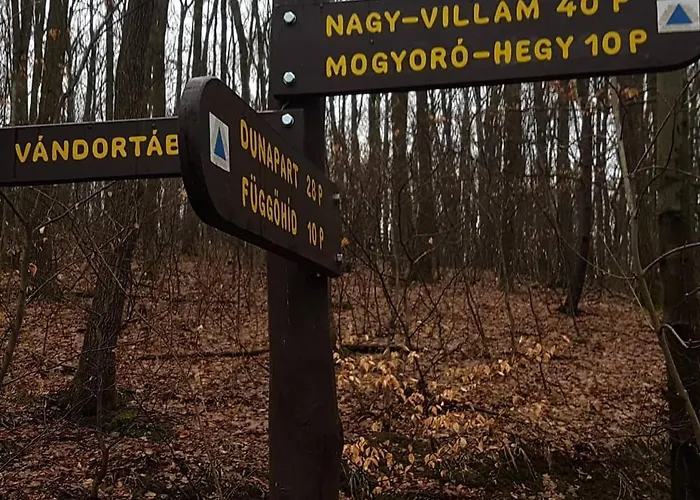 Panorama Vendeghaz * Dunabogdány