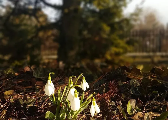 Apartament Panorama Vendeghaz *