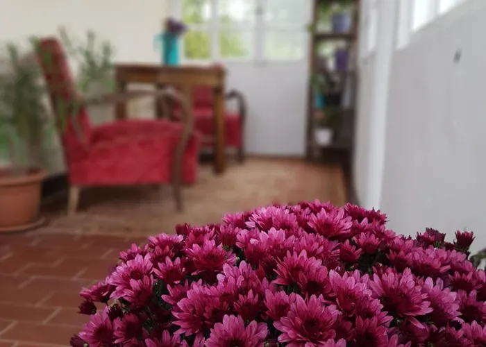 Panorama Vendeghaz Apartament