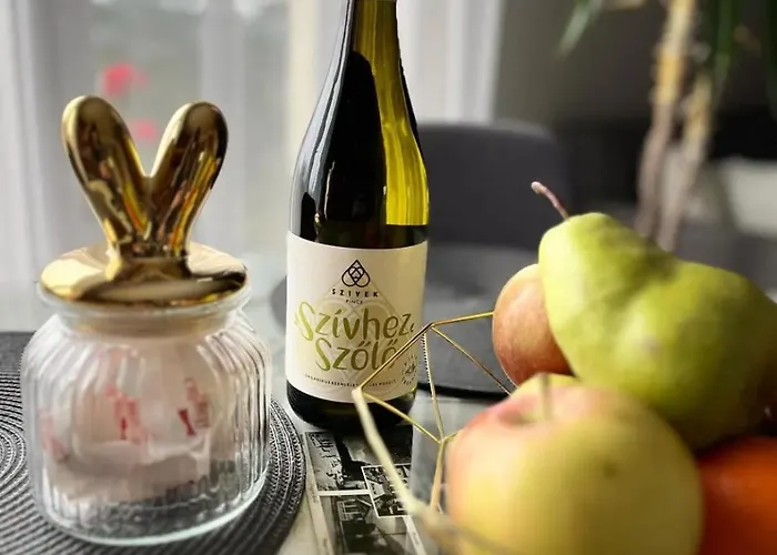 Panorama Vendeghaz Dunabogdány